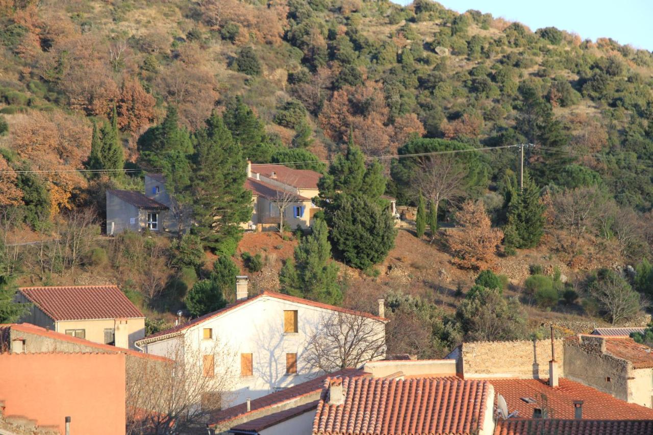 Felluns Gites-Terroirs-Occitanie المظهر الخارجي الصورة